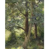 Luigi Lucioni, Trees, Oil on Canvas