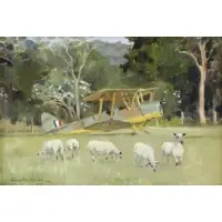Susie Whitcomb, Tiger Moth, 1988, Oil on Canvas