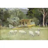 Susie Whitcomb, Tiger Moth, 1988, Oil on Canvas