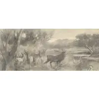 Franz Xaver von Pausinger, Deer and Stag in Forest, Chalk and Charcoal on Paper