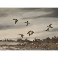 Ducks in Flight by David Hagerbaumer, Watercolor, sold Sep 2019