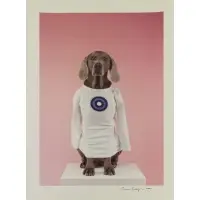 Weimaraner by William Wegman, Photograph, sold Feb 2019