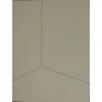 José Damasceno, Organograma., 2002, Ink on Board
