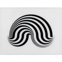 Bridget Riley, Untitled (Fragment 5 of 8) 1965, Screenprint on Plexiglas