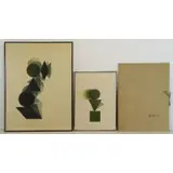Pol. Twelve Bury, X Cinetizations, Prints