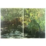 David T. Kessler, Sun Patterned Cove