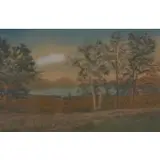 Wallace Nutting, Branch Daises, Hand Colored Lithograph
