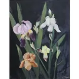 L. Oil on Board Taringer, Flowers