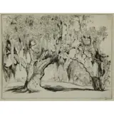 Alfred Hutty, Yeomans Oak, Etching and Drypoint