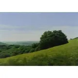Ben Berns, Near Steuben, NY II, Oil on Paper