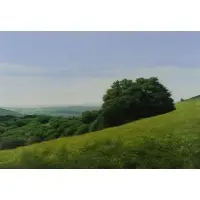 Ben Berns, Near Steuben, NY II, Oil on Paper