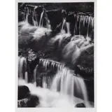 Ansel Adams, Fern Spring, Dusk, Yosemite Valley, CA