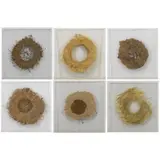 Andy Goldsworthy, A Box with Holes - Forest Park Gatherings Oct 86, St Louis