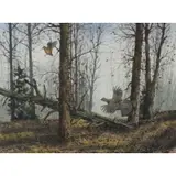 David Hagerbaum, Woodland Scene, Watercolor on Paper