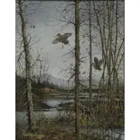 David Hagerbaum, Marsh Scene, 1996, Watercolor on Paper