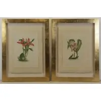 La Roche. Two Laffitte, Botanical Studies, Watercolors on Silk