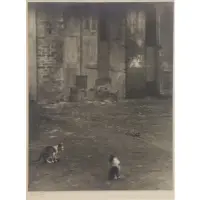 Courtyard with Cats by Arnold Genthe, Gelatin Silver Print, sold Jan 2018