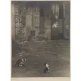 Arnold Genthe, Courtyard with Cats, Gelatin Silver Print
