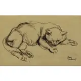 Paul Cadmus, Cat