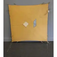 Richard Smith, Epigram., Acrylic, Canvas, String, and Rods