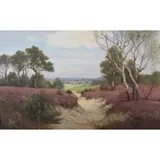 Willem J Alberts, Heide by Nunspe Nunspeet., Oil on Canvas