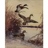 Roland Clark, Ducks in a Marsh