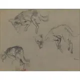 John Koch, Study of Dogs