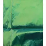 Lalani Nan, Green No. 1., 2005, Oil on Canvas