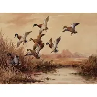 Roland Clark, Ducks in Flight, Watercolor
