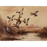 Roland Clark, Ducks in Flight
