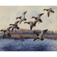 Roland Clark, Ducks in Flight Over a Blue Marsh, Watercolor
