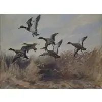 Roland Clark, Ducks in Flight, Oil on Board