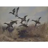 Roland Clark, Ducks in Flight