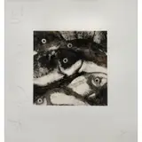Donald Sultan, Fish