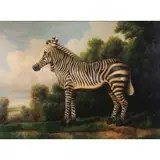 Steve Rogers, Zebra in Landscape, Oil on Canvas