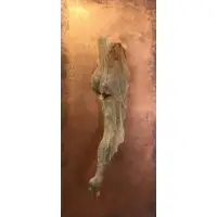 Reiko Kruk, Skin, Resin and Latex "Skin" Sculpture