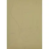 Gaston Lachaise, Female Nude