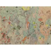 Numbered II 6/100 lower left by Nancy Graves, Color Lithograph, 1972, sold Mar 2017