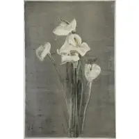Michael Mazur, Calla Lily, 1980, Monotype "Calla Lily" 1980