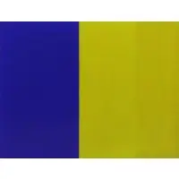 Blue / Yellow by Tadaaki Kuwayama, Oil on Canvas, sold Dec 2016