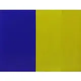 Tadaaki Kuwayama, Blue / Yellow, Oil on Canvas