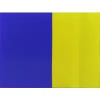 Tadaaki Kuwayama, Yellow Blue, Oil on Canvas
