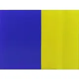 Tadaaki Kuwayama, Yellow Blue