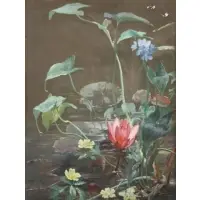 William Mussill, Lily Pond, Gouache on Paper