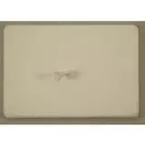 Günther Uecker, Traffic Paint, 1966, Accompanied by a brochure with text by Willoughby Sharp and housed in an acrylic box
