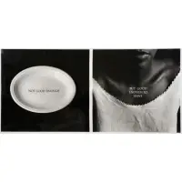 C-Rations by Lorna Simpson, 1991, Gelatin Silver Print "C-Rations" 1991, sold Sep 2016
