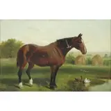 C. Oil on Canvas Hunt, Portrait of a Horse