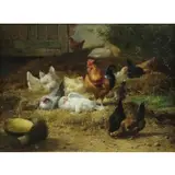 Eugene Maes, King of the Roost, Oil on Panel