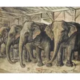 Robert A. Herzberg, Circus Elephants, Oil on Canvas