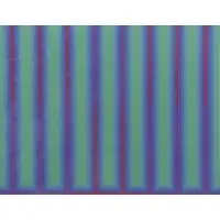 Martin Canin, Housed in a Kulicke frame with Brooke Alexander Inc, 1969 Op Art Screenprint